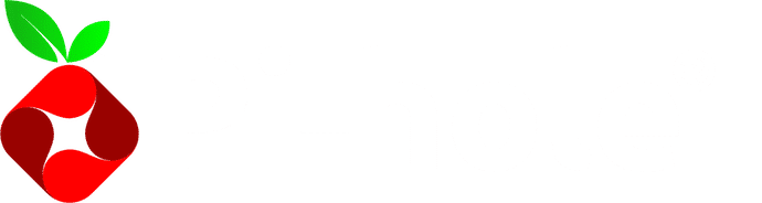 Pi-hole logo